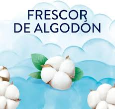 lenor parfum de linge en perles fraicheur de coton